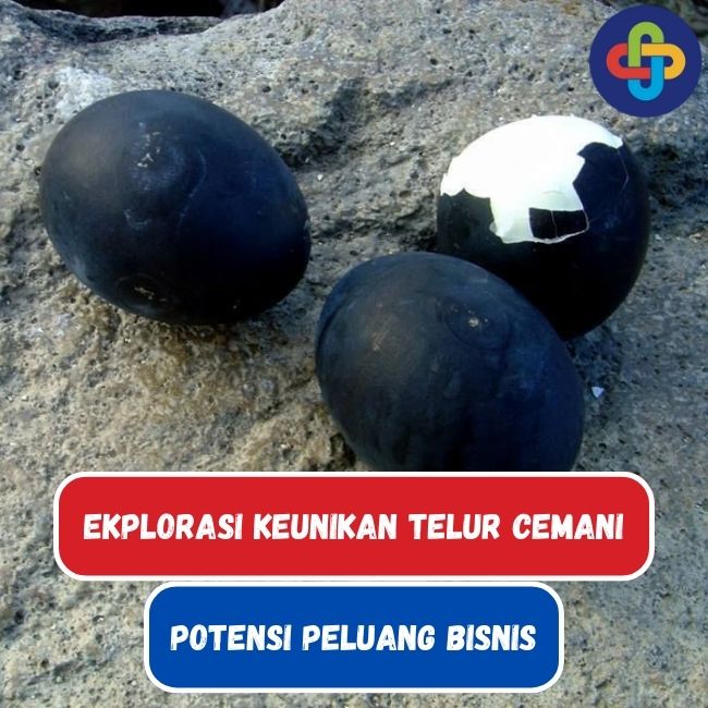 Eksplorasi Keunikan dari Telur Ayam Cemani yang Dapat Dijadikan Peluang Bisnis